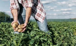 Assemblea Confederazione Agricoltori, Mattarella: “Contrastare sfruttamento e spopolamento”