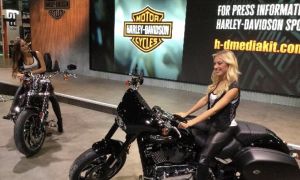 Mercato due ruote: i dati di ottobre 2024 segnano un -0,61% ma andamento annuo a +5%. Ad Eicma il ritorno Harley Davidson