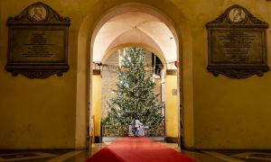 Cervia: attesa per l’abete rosso di Natale da taglio sostenibile donato da Pinzolo. Addobberà Piazza Garibaldi