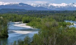 Ticino e Lago Maggiore: 3 progetti per la biodiversità dell’area con 1,5 milioni di investimento