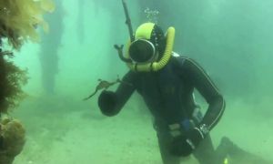 Trevignano Romano: weekend di immersioni nel Lago di Bracciano con il Vintage Scuba Days