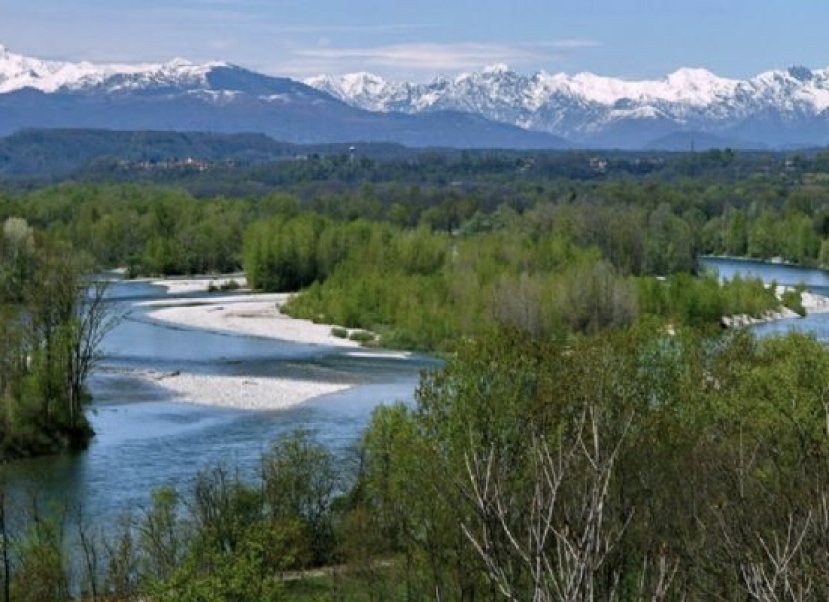 Ticino e Lago Maggiore: 3 progetti per la biodiversità dell’area con 1,5 milioni di investimento