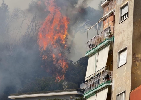 Verde in fumo a Roma: 238 ettari bruciati nel parco di monte Mario. Santini (Federparchi): "Distrutto un importante pezzo di ecosistema"