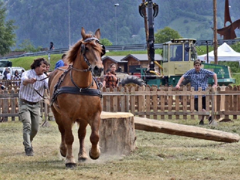 San Martino di Castrozza: in tutto il Primiero una giornata dedicata all’attività dei boscaioli con il Boskavai 2024