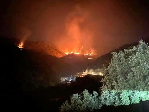 Allarme incendi: in Calabria le fiamme rischiano di distruggere il patrimonio Unesco della Faggeta. Chiesto l’intervento dell’esercito
