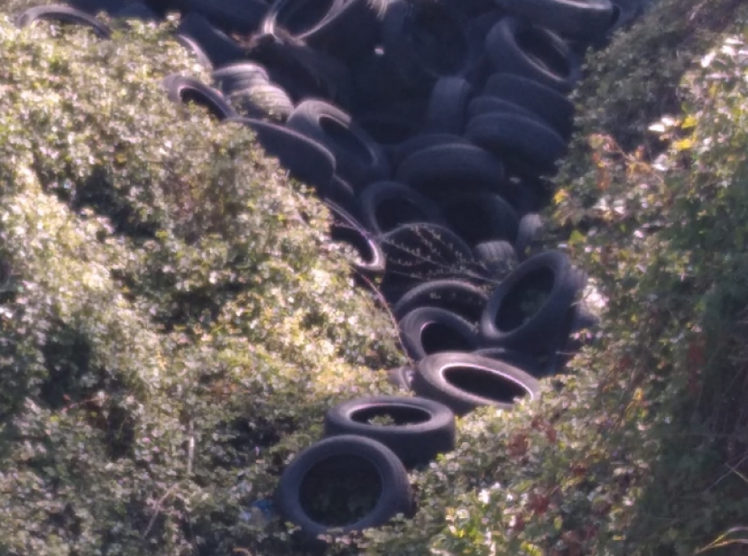 La discarica a cielo aperto a Tuoro