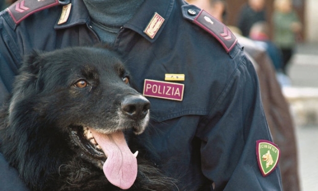 Catania: scoperto dall’unità cinofila  della Polizia un covo di droga e armi nel rione Picarello