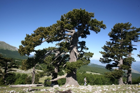 Biodiversità a rischio. Life Streams con il Parco del Pollino per la salvaguardia di specie e ecosistemi d&#039;acqua dolce