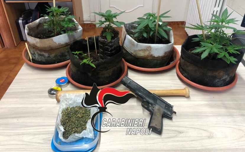 Ischia: intervenuti per una lite trovano marijuana. Carabinieri denunciano 47enne