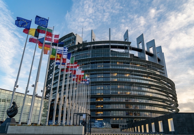 Elezioni europee: oggi l’inedita apertura dei seggi alle 15 fino alle 23. 75 eurodeputati da eleggere