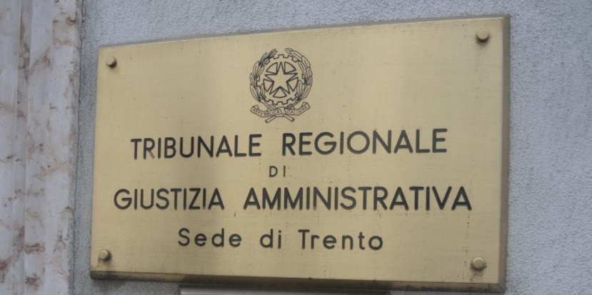 Trento: il Tar sospende l&#039;abbattimento dell&#039;orsa JJ4 che aveva aggredito il runner Andrea Papi