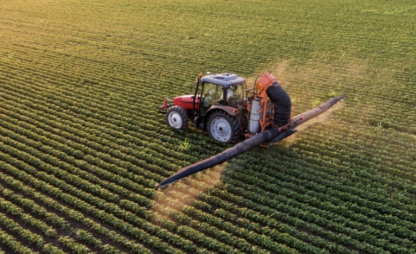 Agricoltura: secondo i dati ISTAT l’Italia (42,4 mld) è prima per crescita in Ue davanti a Spagna e Francia