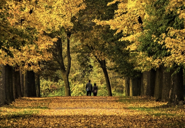 L’autunno in collina di Telti tra i profumi e il foliage della Gallura più profonda