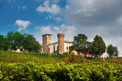 Vini d’eccellenza: premiate 50 etichette con i parametri del metodo Bigot. Il Refosco friulano Buttrio ed il sardo Bentu Luna