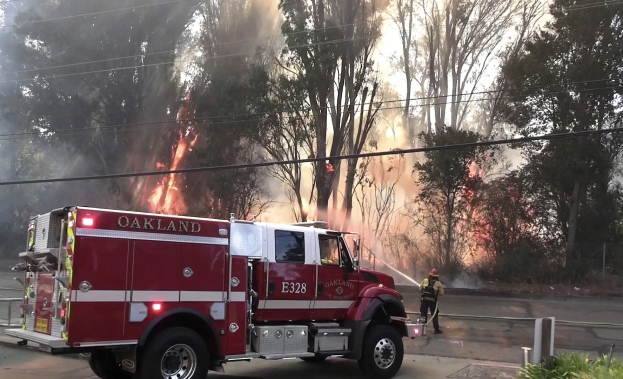 USA: centinaia di evacuati per un incendio in un bosco di Okland. Bruciate case e 13 acri di verde