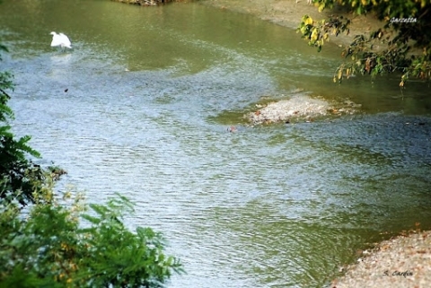 Bologna: soccorritori impegnati a ritrovare un 17enne che si presume caduto nel torrente Idice di Ozzano Emilia