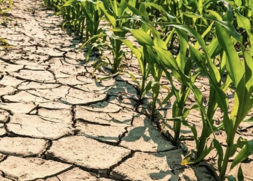 Siccità: il 2023 l’anno più caldo in assoluto con la temperatura che cresce di 1,44 gradi secondo Isac-CNR