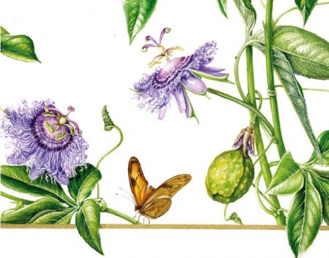 L'arte botanica va in mostra nel nuovo Spazio Arti Floreali di Roma con la collettiva "Di fiore in fiore"