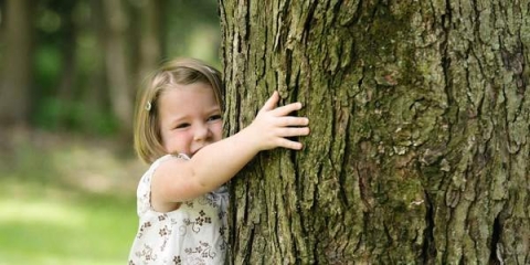 Giornata nazionale dell'Albero: il ritorno della silvoterapia per combattere la psicosi del Covid