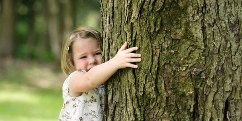 Giornata nazionale dell&#039;Albero: il ritorno della silvoterapia per combattere la psicosi del Covid