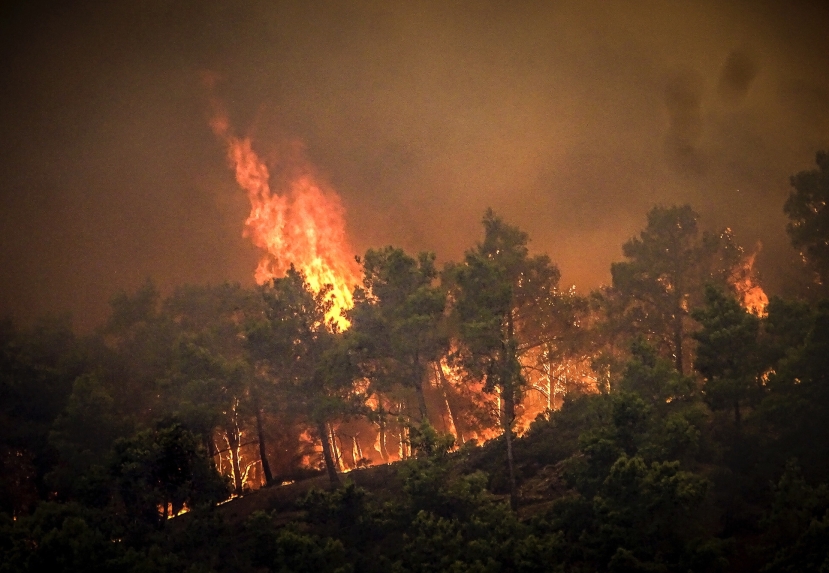 Incendi Grecia: 11 città evacuate. Oggi l’arrivo dei primi soccorsi Ue dalla Francia