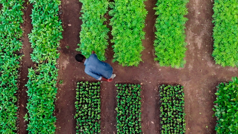 La solidarietà si fa green e pianta le radici nel mondo con The Greatest Gift di Treedom