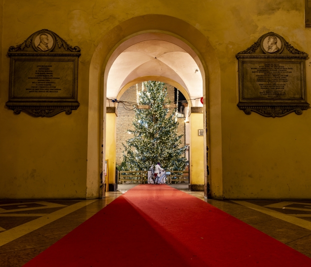 Cervia: attesa per l’abete rosso di Natale da taglio sostenibile donato da Pinzolo. Addobberà Piazza Garibaldi